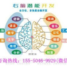 廈門(mén)學(xué)之源科技開(kāi)發(fā)公司 專注早教教材與幼教產(chǎn)品，引領(lǐng)信息技術(shù)咨詢服務(wù)